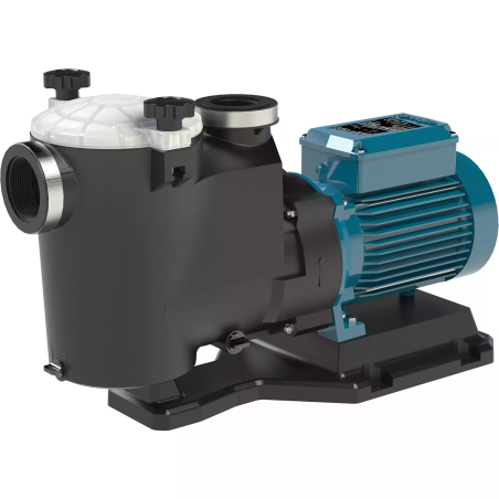 Calpeda Self-priming swimming pool pumps with built-in strainer and a motor insulated from the pumped water - Mpc