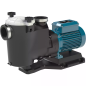 Calpeda Self-priming swimming pool pumps with built-in strainer and a motor insulated from the pumped water - Mpc