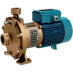 Calpeda Close-coupled, centrifugal pumps - Nm, Nmd